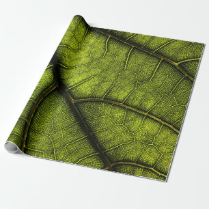 Green leaf in close up photography wrapping paper