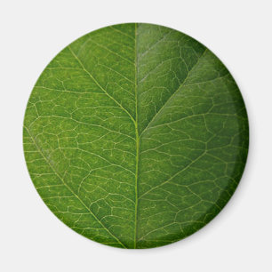 Green Leaf Magnet