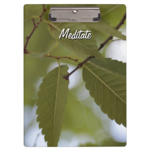 green leaf meditate nature garden photo branch clipboard