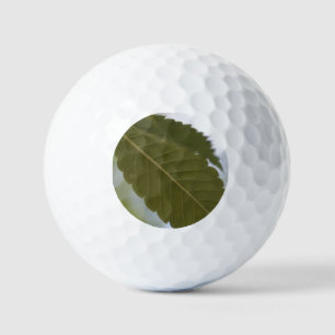 green leaf meditate nature garden photo branch golf balls