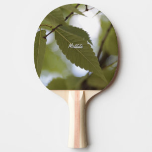 green leaf meditate nature garden photo branch ping pong paddle