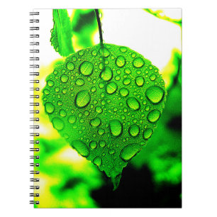 Green Leaf Notebook