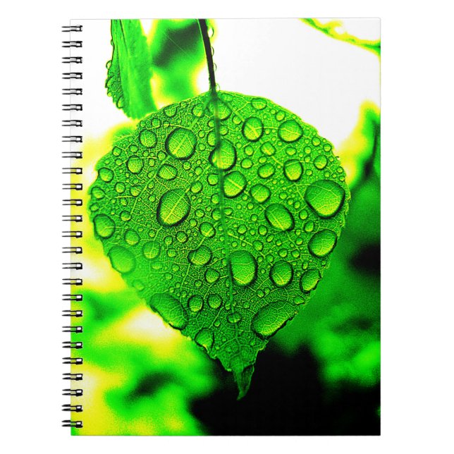 Green Leaf Notebook (Front)