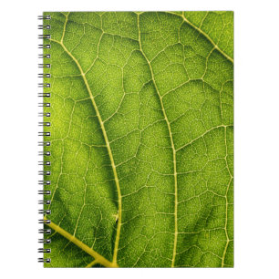 Green leaf notebook
