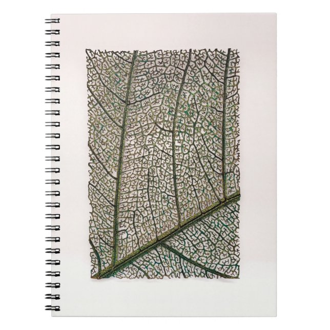 Green leaf notebook (Front)
