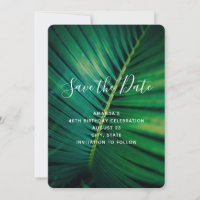 Green Leaf Palm Frond Closeup Photo Birthday