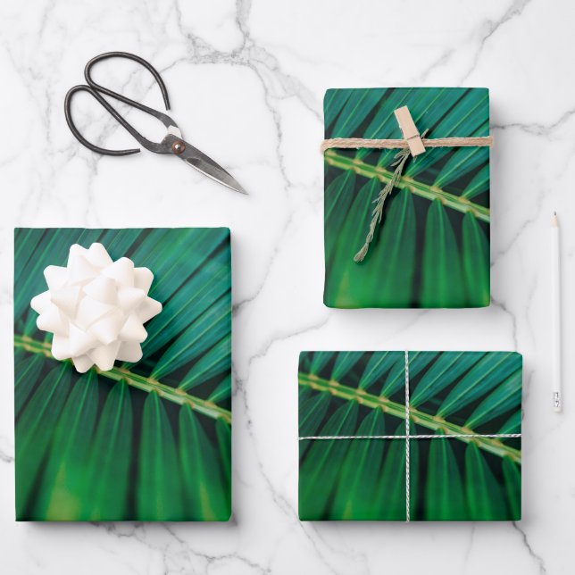 Green Leaf Palm Frond Tropical Nature Photo Wrapping Paper Sheet (Front)