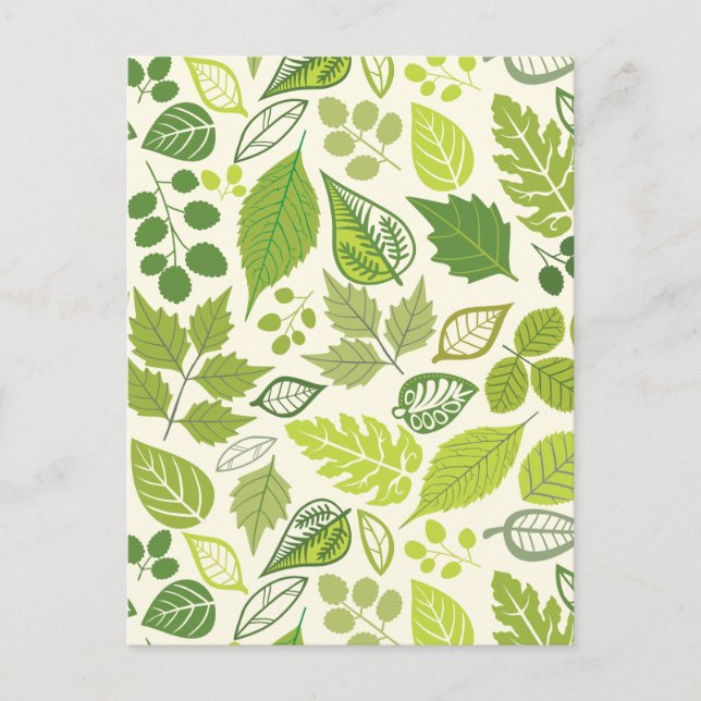 Green Leaf Pattern Postcard (Front)