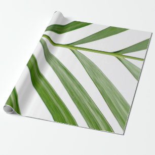 Green leaf plant during daytime wrapping paper