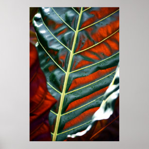 Green leaf plant poster