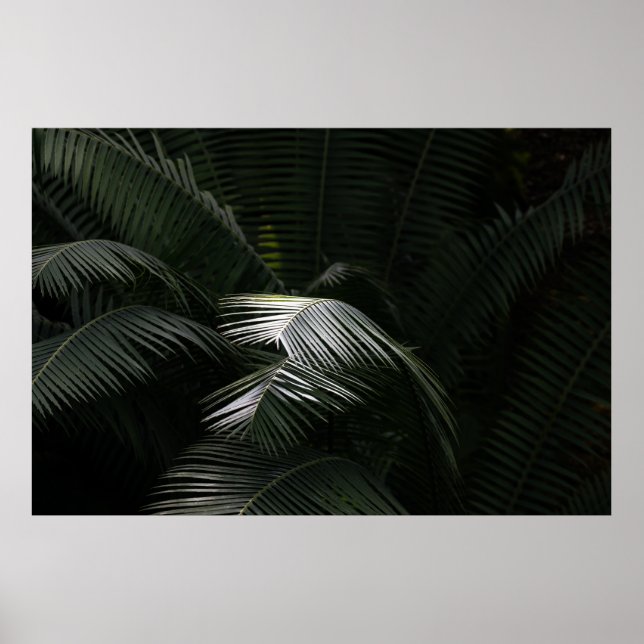 GREEN LEAF PLANT POSTER (Front)