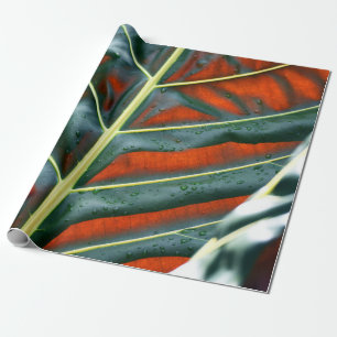 Green leaf plant wrapping paper