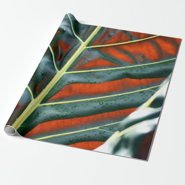 Green leaf plant wrapping paper (Unrolled)