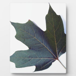 Green Leaf Plaque