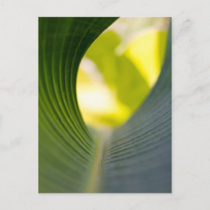 Green leaf postcard