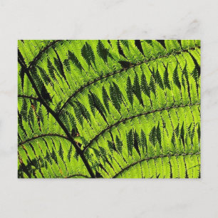 Green Leaf Postcard
