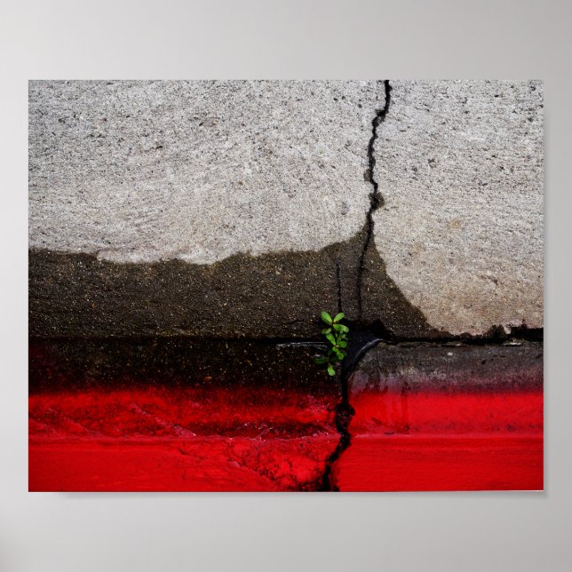 Green Leaf Poster (Front)