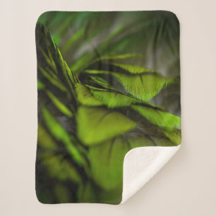 Green leaf sherpa blanket