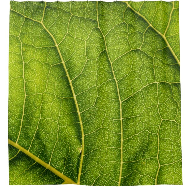 Green leaf shower curtain (Front)