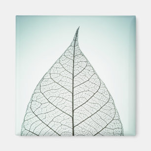 Green Leaf Skeleton Magnet