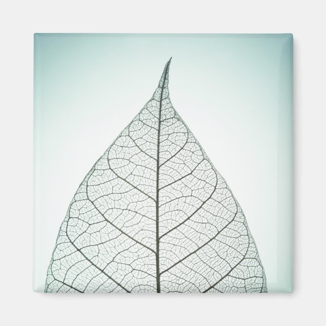 Green Leaf Skeleton Magnet (Front)