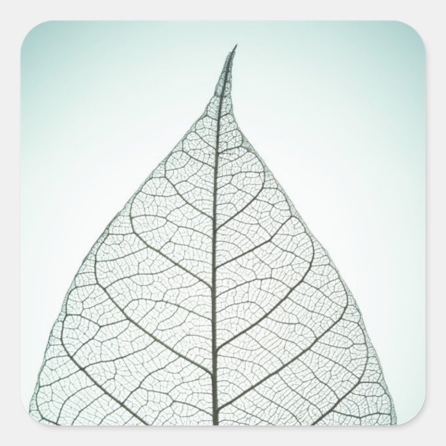 Green Leaf Skeleton Square Sticker (Front)