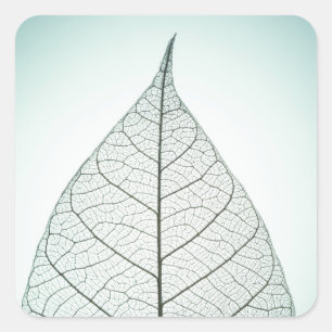 Green Leaf Skeleton Square Sticker