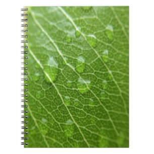 Green Leaf Spiral Notebook
