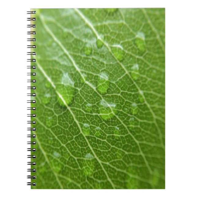 Green Leaf Spiral Notebook (Front)
