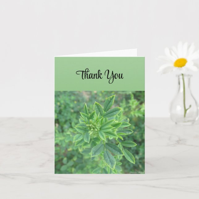 Green Leaf - Thank You Card (Small Plant)