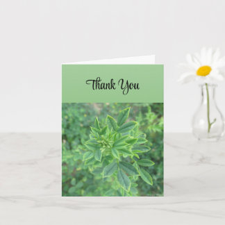 Green Leaf - Thank You Card
