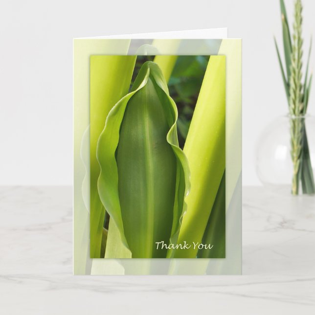 Green Leaf Thank You Note Card (Front)