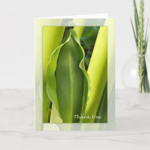 Green Leaf Thank You Note Card