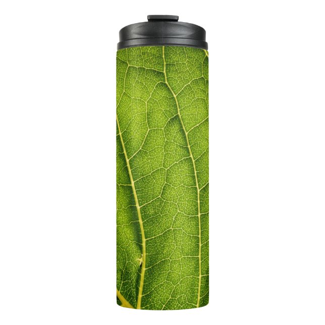 Green leaf thermal tumbler (Front)
