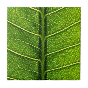 Green leaf tile