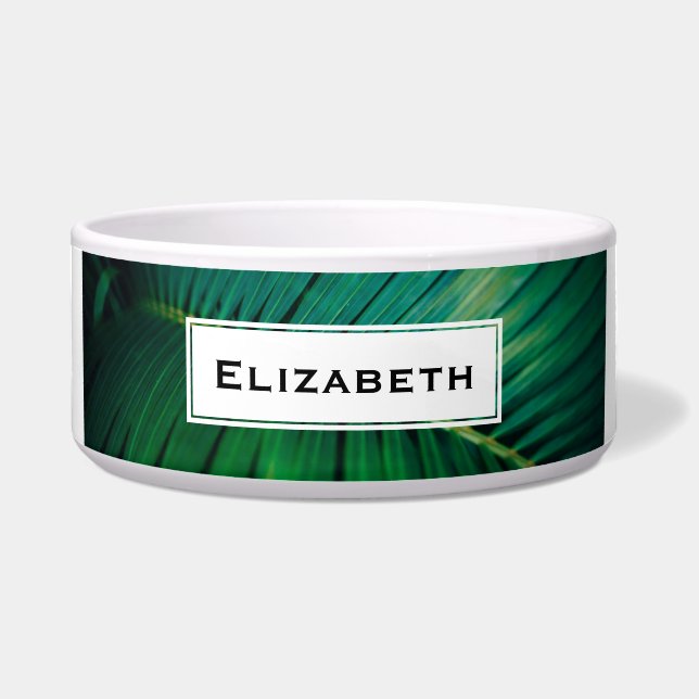 Green Leaf Tropical Forest Nature Photo (Front)