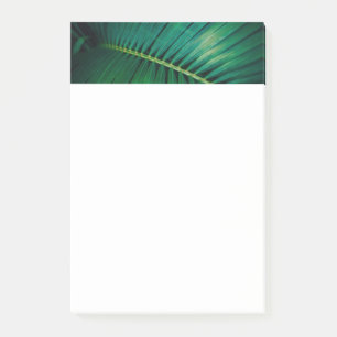 Green Leaf Tropical Forest Nature Photo Post-it Notes