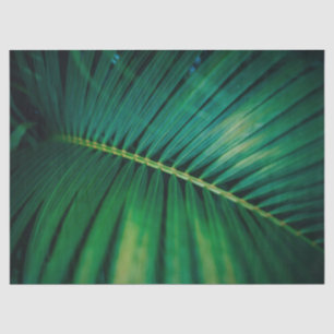 Green Leaf Tropical Forest Nature Photo Tissue Paper
