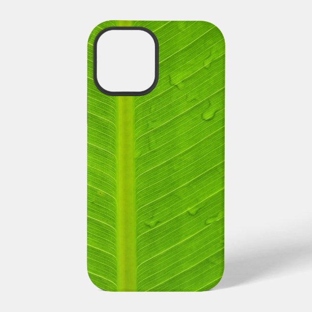 Green Leaf Water Drop iPhone Case (Back)