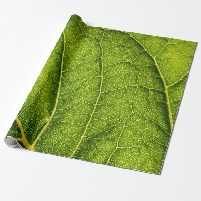 Green leaf wrapping paper (Unrolled)