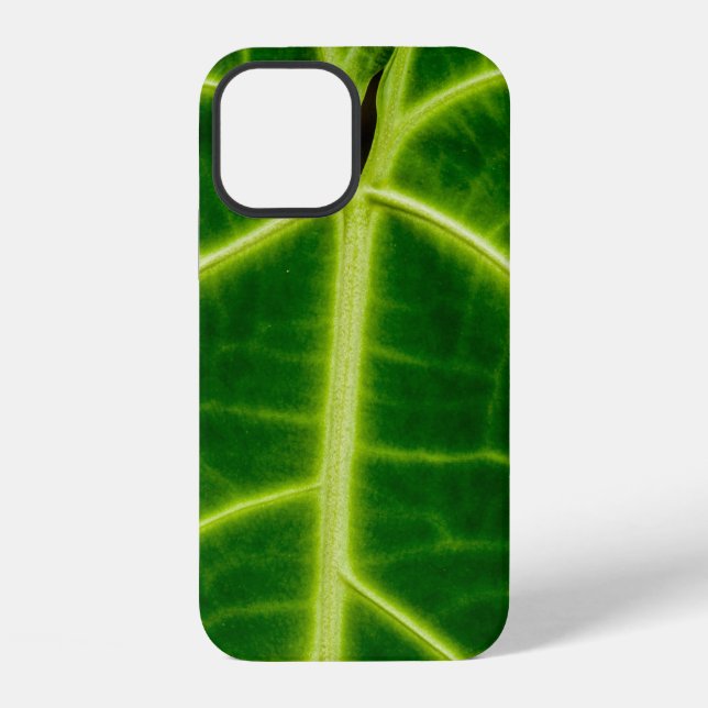 Green-leafed plant iPhone case (Back)