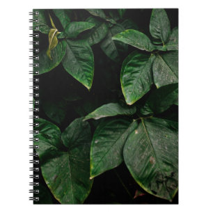GREEN-LEAFED PLANT ON FOCUS PHOTOGRAPHY NOTEBOOK