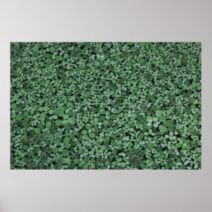 Green leafed plant poster