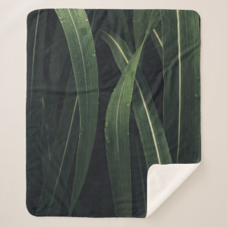 GREEN-LEAFED PLANT SHERPA BLANKET