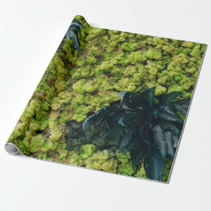Green leafed plants wrapping paper