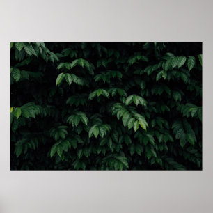 GREEN-LEAFED TREE POSTER