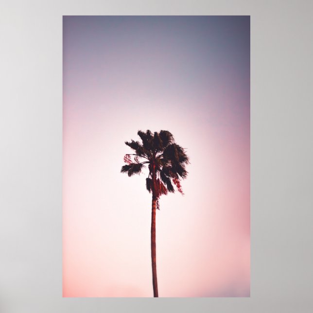 GREEN LEAFED TREE UNDER BLUE SKY POSTER (Front)