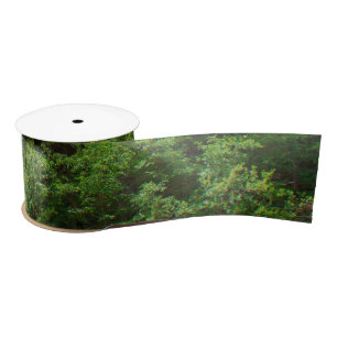 Green Leafy Trees Colorado Moffat Road Satin Ribbon