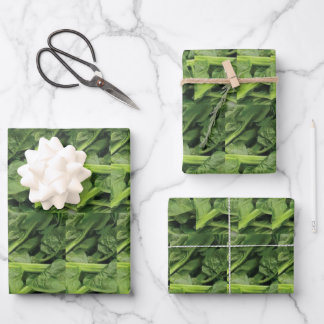Green Leafy Vegetable Wrapping Paper Sheet