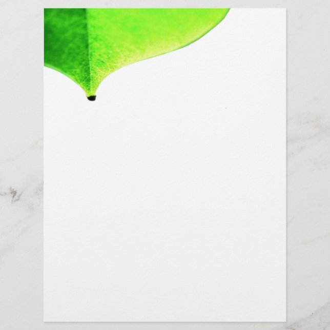 Green Leave Flyer (Front)